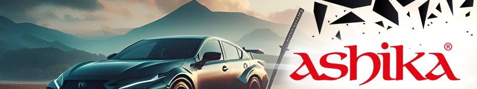 Promocja Ashika